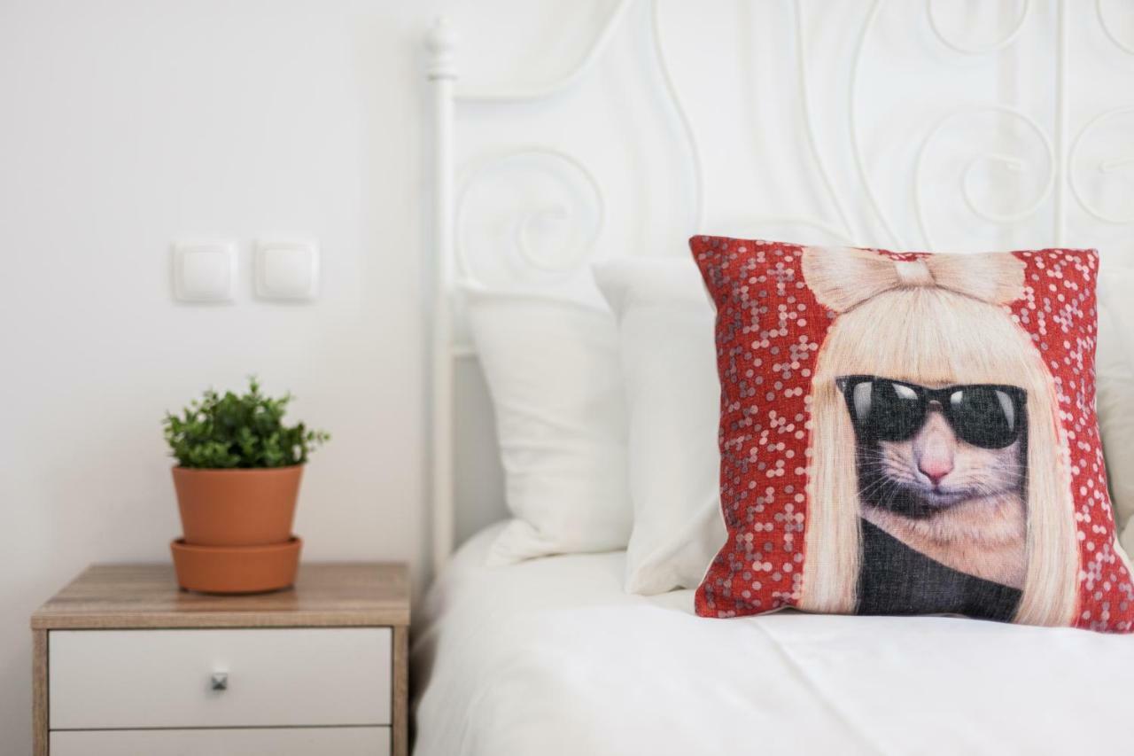 Appartement Explore Vibrant From A Designer Loft At Casa Da Barroca *